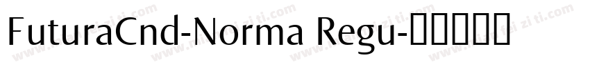 FuturaCnd-Norma Regu字体转换